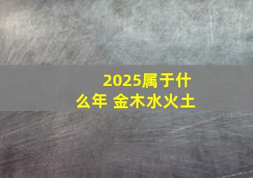 2025属于什么年 金木水火土